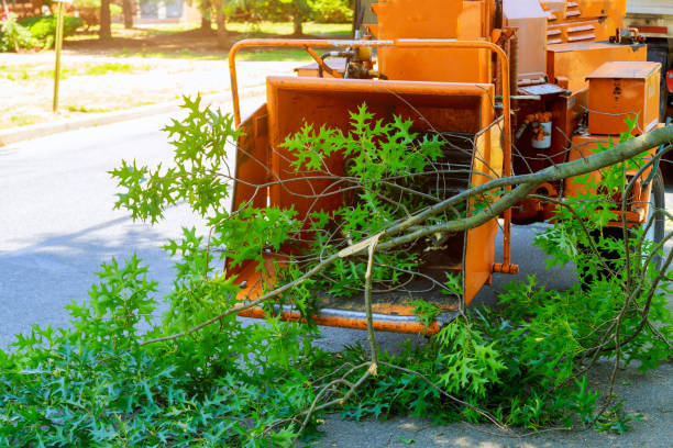 Lawn Drainage Solutions in Delavan, IL